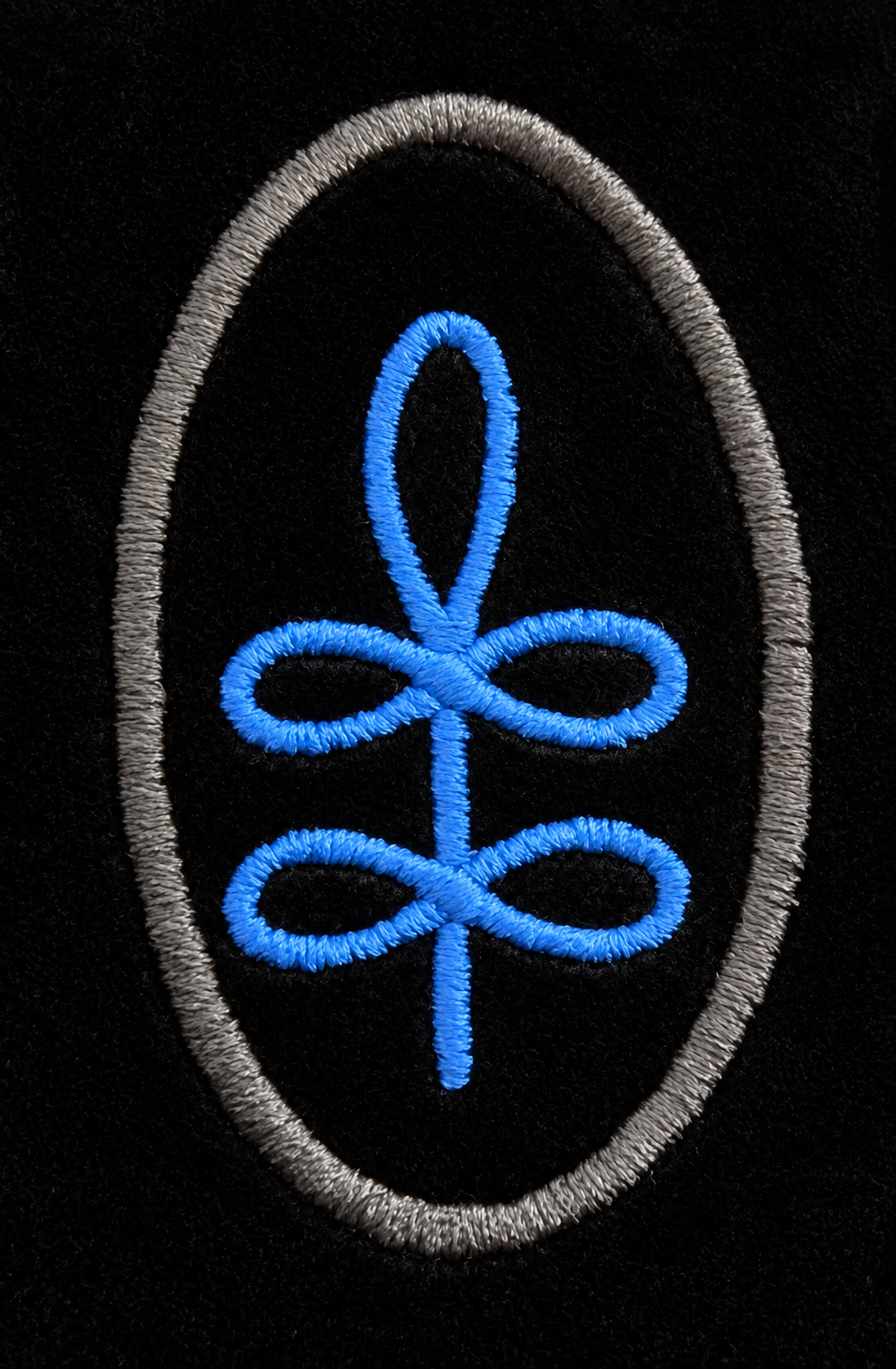 Embroidered crow’s feet on black velvet facing, detail from the existing workpiece gallery
