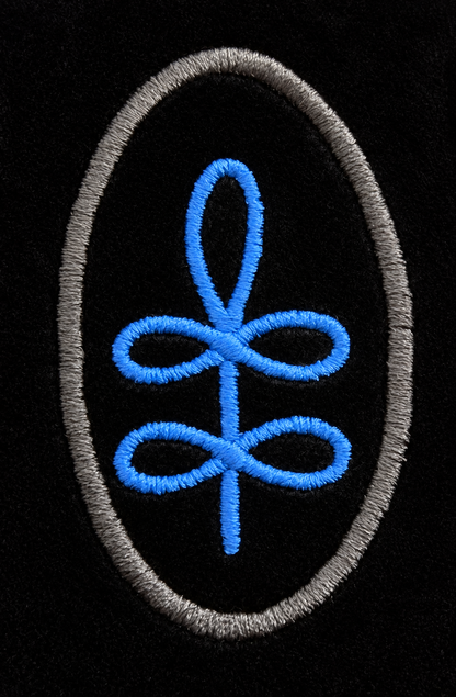 Blue embroidered crow’s feet on black velvet with complete oval border