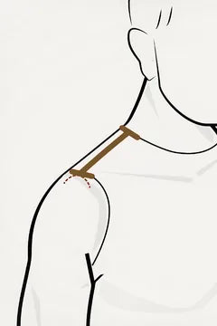 Shoulder, line from the base of the neck to the outer shoulder point