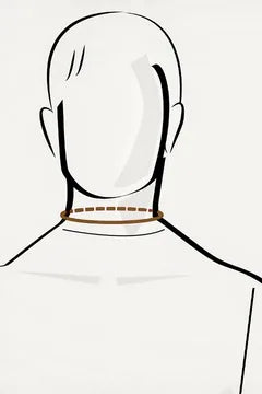 Head and neck, line around the base of the neck